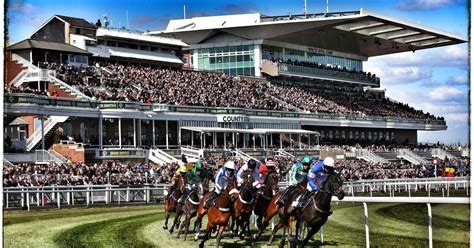 Grand National 2016 betting: Tips and guide .